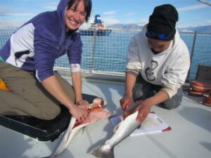 We learned how to prepare Arctic Char for drying.